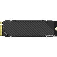 SSD OSCOO ON1000PRO 1TB в Могилеве