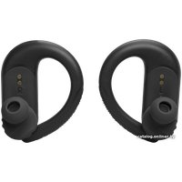 Наушники JBL Endurance Peak 3 (черный)