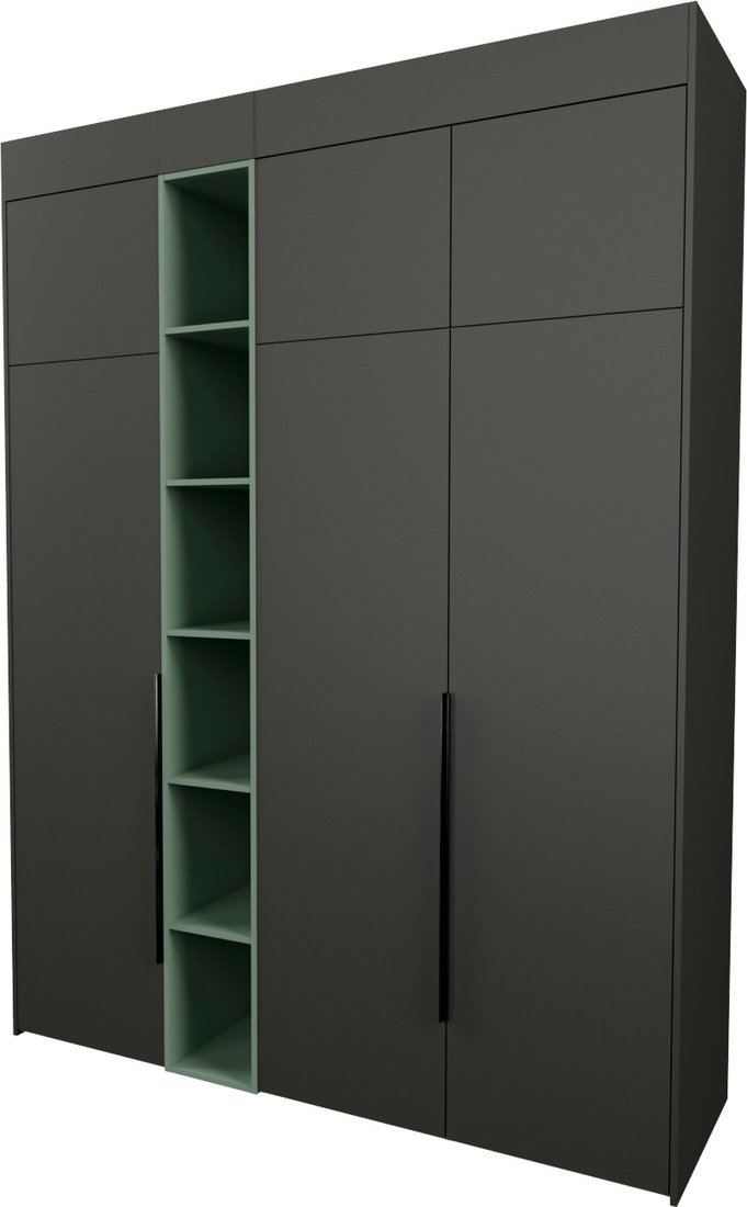 

Шкаф распашной Рэйгрупп Рэй S257-В7-1-WKZ В7-1 (дуб веллингтон/кобальт/зеленый самшит)