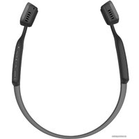 Наушники AfterShokz Trekz Titanium (черный)