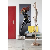 Фотообои Komar Black Widow 1-430 (73x202)