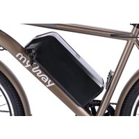 Электровелосипед MyWay Let 1.0 250 26 Pro (титан матовый)