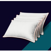 Спальная подушка Espera Classic Dewspo ЕС-5751 (50x70)