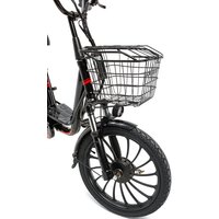 Электровелосипед Smart Balance Fiesta 2024 в Пинске