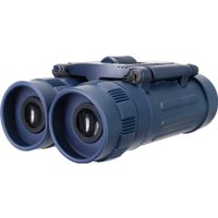 Бинокль Levenhuk Discovery Basics BB 8x21 79652 в Барановичах