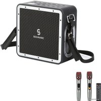 Беспроводная колонка SOUNARC A3 Pro