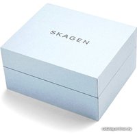 Наручные часы Skagen SKW1102