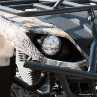 Квадроцикл IRBIS ATV 200U