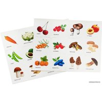 Сортер Десятое королевство Фрукты, ягоды, овощи, грибы 04718