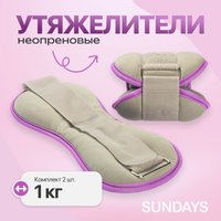  Sundays Fitness IR97843 (1кг, серый/фиолетовый)