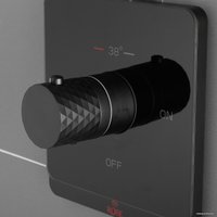 Гигиенический душ Rose R105H