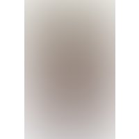 Съедобная пудра для тела Shunga Honey of the Nypmphs мед 3003 (228 г)