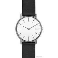 Наручные часы Skagen SKW6419