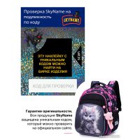 Школьный рюкзак SkyName R3-272 + брелок мишка