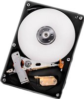 Deskstar 7K1000.D 1TB (HDS721010DLE630)