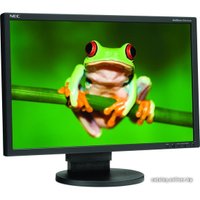 Монитор NEC MultiSync EA241WM-BK Black/Black