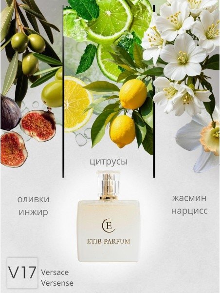 

Туалетная вода ETIB Parfum аналоговый парфюм Versace Versense V17 EdP (100 мл)