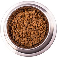 Сухой корм для собак Monge Vet Solution Gastrointestinal (1.5 кг)