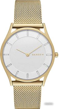 Наручные часы Skagen SKW2377