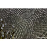 Флизелиновые обои Euro Decor Atmosphere 1139-05 в Орше