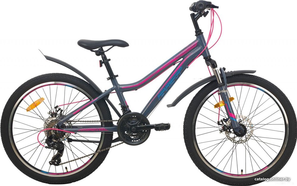 Велосипед AIST Rosy Junior 2.1 2022 (серый)