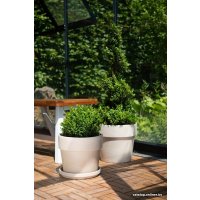 Кашпо Cermax Calima Granit T-227-036-19-Р