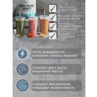 Протеин комплексный BioTech USA 100% Pure Whey (темный бисквит, 1000 г)