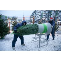 Ель HD Nordic Trees Фразера Датская Премиум (2-2.2 м, срезанная)