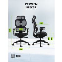 Офисное кресло CACTUS CS-MC555-BK (черный) в Борисове