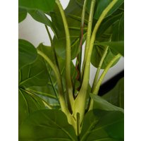 Искусственное растение Merry Bear Home Decor Филодендрон AZ01140