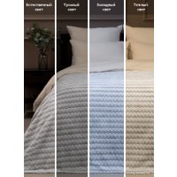 Плед Tex Republic Absolute Зигзаг двухцветный Flannel 200x220 92574 (серый)