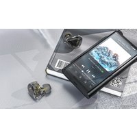 Наушники FiiO FD1 (черный)