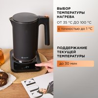 Электрический чайник Evolution KP22151L Thermocontrol