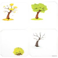 Развивающая игрушка Bondibon Времена года ВВ5079