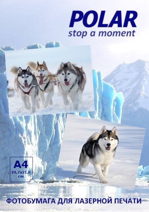 

Фотобумага Polar A4L0M20100 матовая A4, 200 г/м2, 100 л