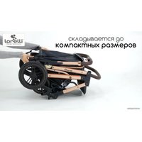 Коляска прогулочная «книга» Lorelli Storm 2021 (steel grey)