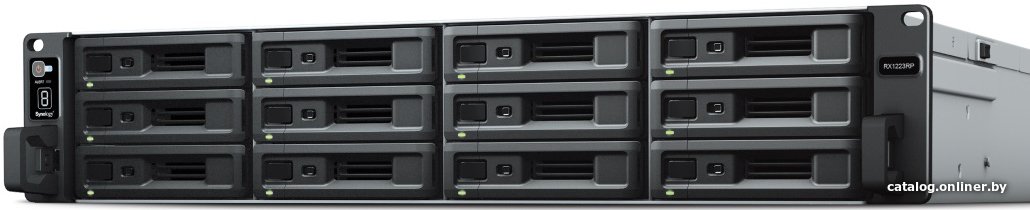 Модуль расширения Synology RX1223RP