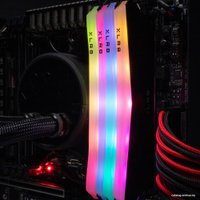 Оперативная память PNY XLR8 Gaming Epic-X RGB 16GB DDR4 PC4-25600 MD16GD4320016XRGB