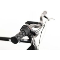 Велосипед Regal 3-sp Stealth 54cm