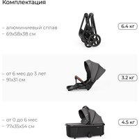 Универсальная коляска Tomix Selena 2в1 P02 (черный)