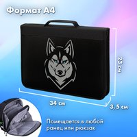 Папка-портфель BRAUBERG Husky 271450 с органайзером (черный)