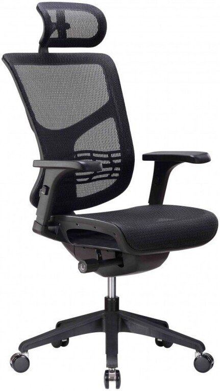 

Офисное кресло Ergostyle Vista VSM01 (черный)