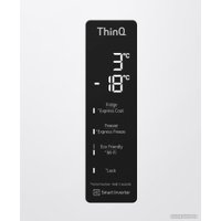 Холодильник LG DoorCooling+ GC-B509SQSM