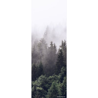 Фотообои ФабрикаФресок Туманный лес 191280 (100x280)