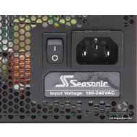 Блок питания Seasonic Platinum-460 Fanless 460W (SS-460FL2 Active PFC F3)