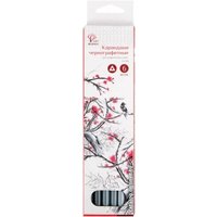 Набор простых карандашей АртФормат AF03-011-06