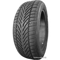 Зимние шины BFGoodrich g-Force Winter 195/65R15 91T