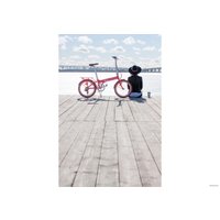 Велосипед Shulz Easy 2023 (красный)