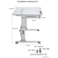 Парта Rifforma Comfort-120 (серый)