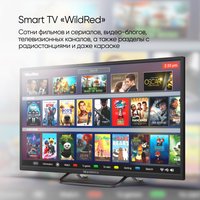 Телевизор Topdevice 32" SMART BS02 (черный)